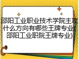 邵阳工业职业技术学院主攻什么方向有哪些王牌专业(邵阳工业职院王牌专业)