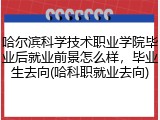 哈尔滨科学技术职业学院毕业后就业前景怎么样，毕业生去向(哈科职就业去向)