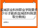 盐城农业科技职业学院要多少分才能进(盐城农科院录取分数线)
