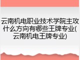 云南机电职业技术学院主攻什么方向有哪些王牌专业(云南机电王牌专业)