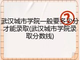 武汉城市学院一般要多少分才能录取(武汉城市学院录取分数线)
