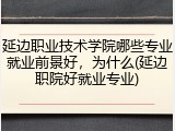 延边职业技术学院哪些专业就业前景好，为什么(延边职院好就业专业)