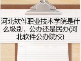 河北软件职业技术学院是什么级别，公办还是民办(河北软件公办院校)