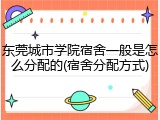 东莞城市学院宿舍一般是怎么分配的(宿舍分配方式)