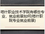 喀什职业技术学院有哪些专业，就业前景如何(喀什职院专业就业前景)