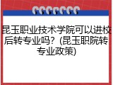 昆玉职业技术学院可以进校后转专业吗？(昆玉职院转专业政策)