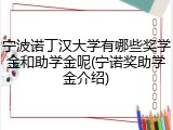 宁波诺丁汉大学有哪些奖学金和助学金呢(宁诺奖助学金介绍)