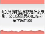 山东外贸职业学院是什么级别，公办还是民办(山东外贸学院性质)