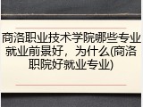 商洛职业技术学院哪些专业就业前景好，为什么(商洛职院好就业专业)