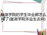巢湖学院的学生毕业都怎么样了(巢湖学院毕业生去向)