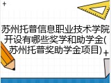 苏州托普信息职业技术学院开设有哪些奖学和助学金(苏州托普奖助学金项目)
