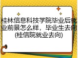 桂林信息科技学院毕业后就业前景怎么样，毕业生去向(桂信院就业去向)