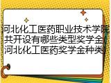 河北化工医药职业技术学院共开设有哪些类型奖学金(河北化工医药奖学金种类)
