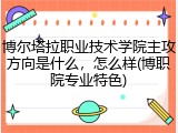 博尔塔拉职业技术学院主攻方向是什么，怎么样(博职院专业特色)