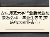 安庆师范大学毕业后就业前景怎么样，毕业生去向(安庆师大就业去向)
