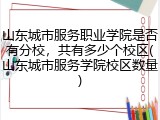 山东城市服务职业学院是否有分校，共有多少个校区(山东城市服务学院校区数量)