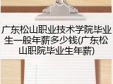 广东松山职业技术学院毕业生一般年薪多少钱(广东松山职院毕业生年薪)
