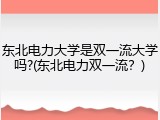 东北电力大学是双一流大学吗?(东北电力双一流？)