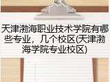 天津渤海职业技术学院有哪些专业，几个校区(天津渤海学院专业校区)