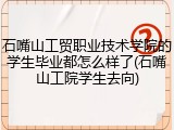 石嘴山工贸职业技术学院的学生毕业都怎么样了(石嘴山工院学生去向)