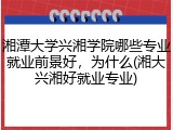 湘潭大学兴湘学院哪些专业就业前景好，为什么(湘大兴湘好就业专业)