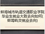 蚌埠城市轨道交通职业学院毕业生就业大致去向如何(蚌埠轨交就业去向)