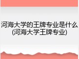 河海大学的王牌专业是什么(河海大学王牌专业)