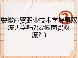 安徽商贸职业技术学院是双一流大学吗?(安徽商贸双一流？)