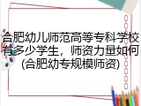 合肥幼儿师范高等专科学校有多少学生，师资力量如何(合肥幼专规模师资)