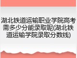 湖北铁道运输职业学院高考需多少分能录取呢(湖北铁道运输学院录取分数线)