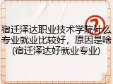 宿迁泽达职业技术学院什么专业就业比较好，原因是啥(宿迁泽达好就业专业)