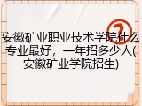 安徽矿业职业技术学院什么专业最好，一年招多少人(安徽矿业学院招生)