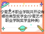 宁夏艺术职业学院共开设有哪些类型奖学金(宁夏艺术职业学院奖学金种类)