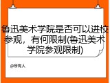 鲁迅美术学院是否可以进校参观，有何限制(鲁迅美术学院参观限制)