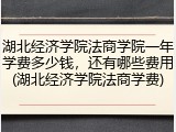 湖北经济学院法商学院一年学费多少钱，还有哪些费用(湖北经济学院法商学费)