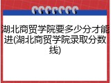 湖北商贸学院要多少分才能进(湖北商贸学院录取分数线)
