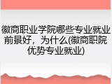 徽商职业学院哪些专业就业前景好，为什么(徽商职院优势专业就业)