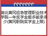 湖北黄冈应急管理职业技术学院一年奖学金最多能拿多少(黄冈职院奖学金上限)