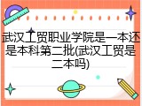 武汉工贸职业学院是一本还是本科第二批(武汉工贸是二本吗)