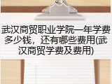 武汉商贸职业学院一年学费多少钱，还有哪些费用(武汉商贸学费及费用)