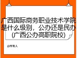 广西国际商务职业技术学院是什么级别，公办还是民办(广西公办高职院校)