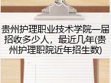贵州护理职业技术学院一届招收多少人，最近几年(贵州护理职院近年招生数)