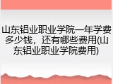 山东铝业职业学院一年学费多少钱，还有哪些费用(山东铝业职业学院费用)