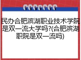 民办合肥滨湖职业技术学院是双一流大学吗?(合肥滨湖职院是双一流吗)