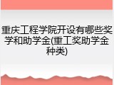重庆工程学院开设有哪些奖学和助学金(重工奖助学金种类)