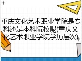 重庆文化艺术职业学院是专科还是本科院校呢(重庆文化艺术职业学院学历层次)