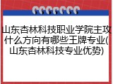 山东杏林科技职业学院主攻什么方向有哪些王牌专业(山东杏林科技专业优势)