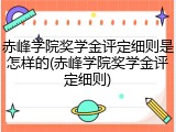 赤峰学院奖学金评定细则是怎样的(赤峰学院奖学金评定细则)
