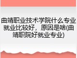 曲靖职业技术学院什么专业就业比较好，原因是啥(曲靖职院好就业专业)