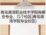 青岛港湾职业技术学院有哪些专业，几个校区(青岛港湾学院专业校区)